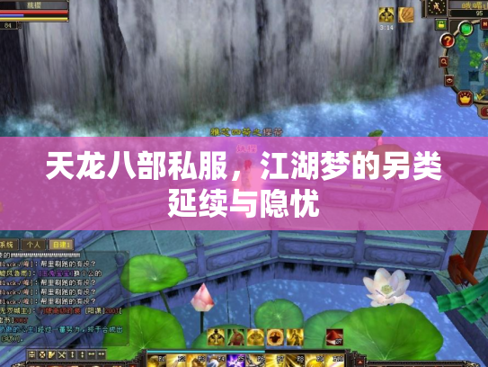 天龙八部私服，江湖梦的另类延续与隐忧