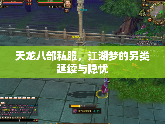 天龙八部私服，江湖梦的另类延续与隐忧