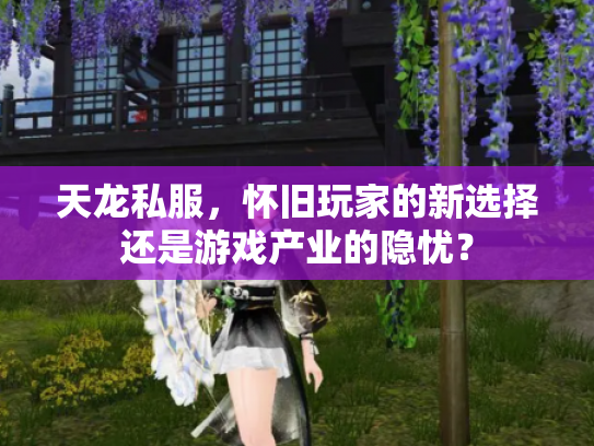 天龙私服，怀旧玩家的新选择还是游戏产业的隐忧？