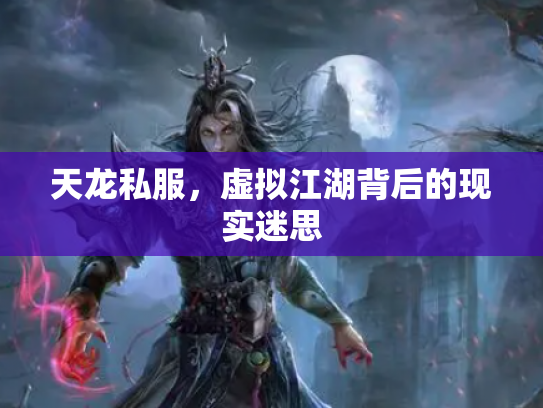天龙私服，虚拟江湖背后的现实迷思