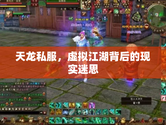 天龙私服，虚拟江湖背后的现实迷思