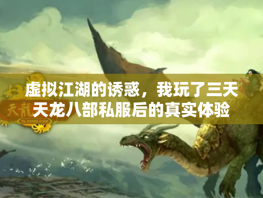 虚拟江湖的诱惑，我玩了三天天龙八部私服后的真实体验