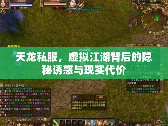 天龙私服，虚拟江湖背后的隐秘诱惑与现实代价