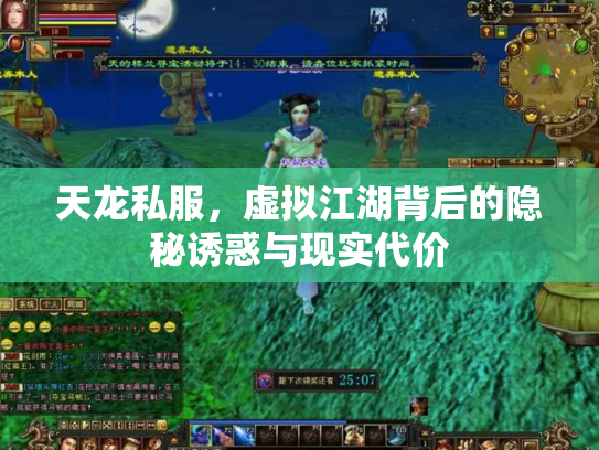 天龙私服，虚拟江湖背后的隐秘诱惑与现实代价