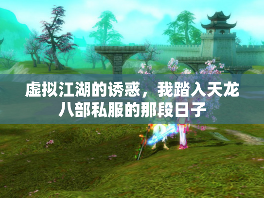 虚拟江湖的诱惑，我踏入天龙八部私服的那段日子