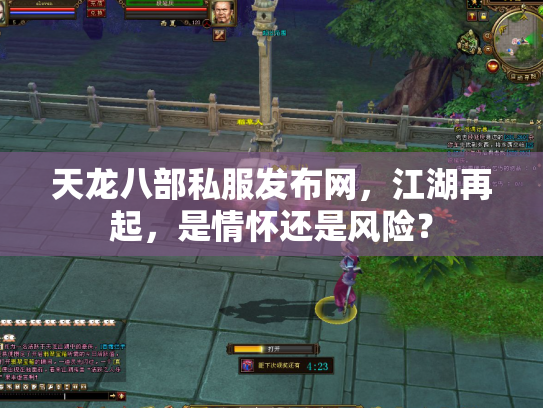 天龙八部私服发布网，江湖再起，是情怀还是风险？