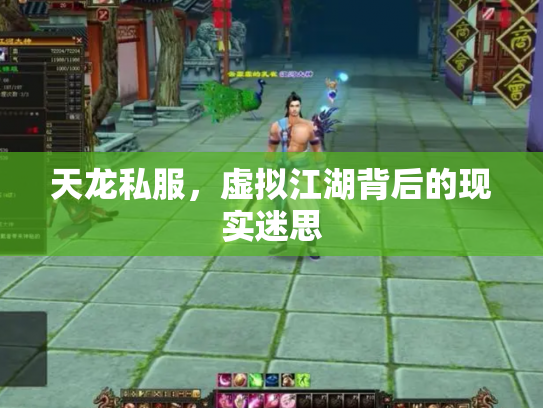 天龙私服，虚拟江湖背后的现实迷思