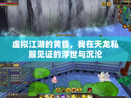 虚拟江湖的黄昏，我在天龙私服见证的浮世与沉沦