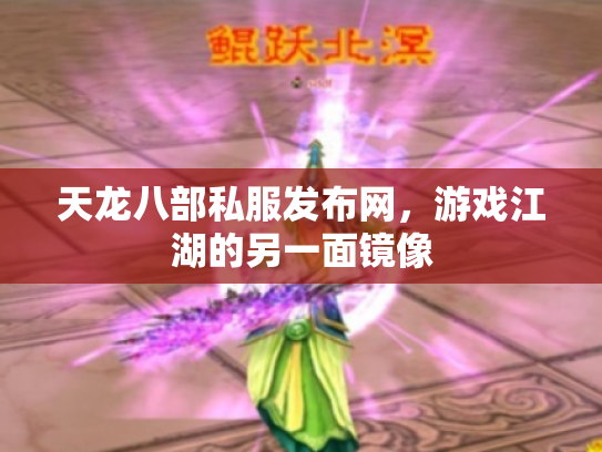 天龙八部私服发布网，游戏江湖的另一面镜像
