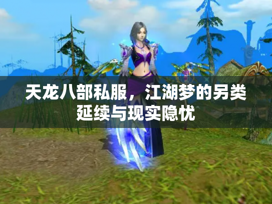 天龙八部私服，江湖梦的另类延续与现实隐忧