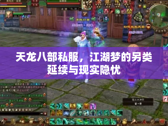 天龙八部私服，江湖梦的另类延续与现实隐忧