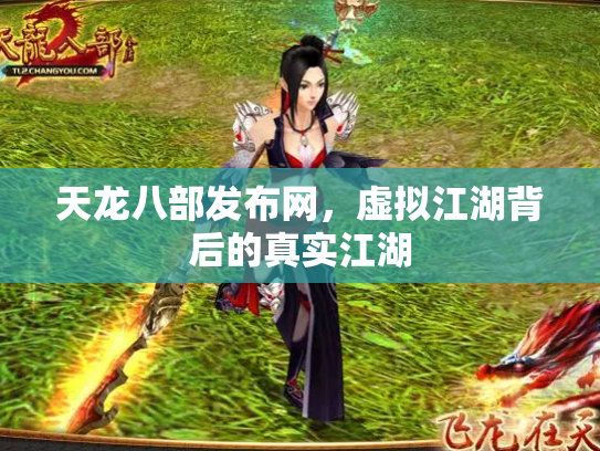 天龙八部发布网，虚拟江湖背后的真实江湖