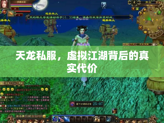 天龙私服，虚拟江湖背后的真实代价