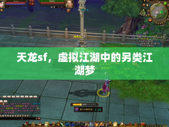 天龙sf，虚拟江湖中的另类江湖梦