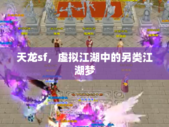天龙sf，虚拟江湖中的另类江湖梦