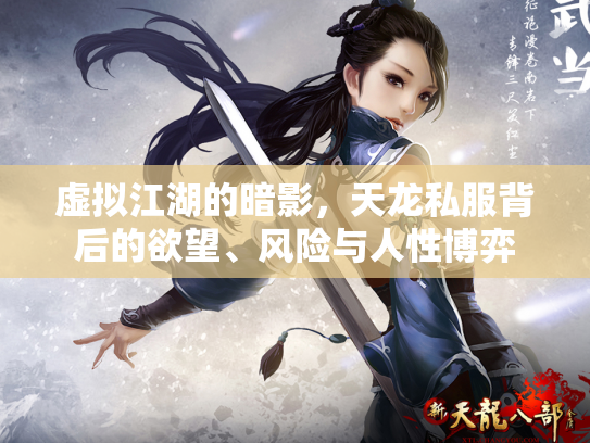 虚拟江湖的暗影，天龙私服背后的欲望、风险与人性博弈
