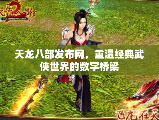 天龙八部发布网，重温经典武侠世界的数字桥梁