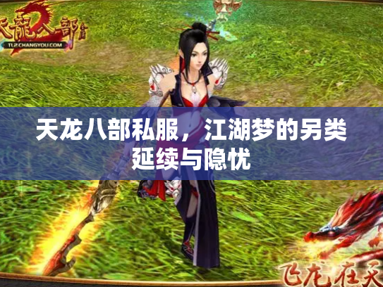 天龙八部私服，江湖梦的另类延续与隐忧