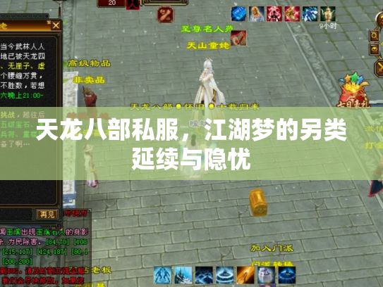 天龙八部私服，江湖梦的另类延续与隐忧