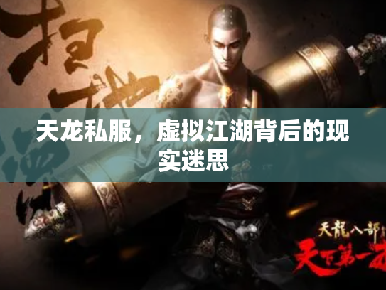 天龙私服，虚拟江湖背后的现实迷思