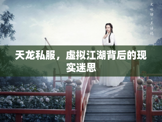 天龙私服，虚拟江湖背后的现实迷思