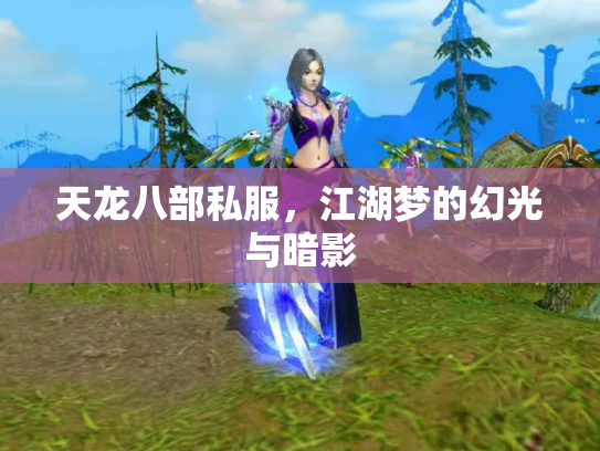 天龙八部私服，江湖梦的幻光与暗影