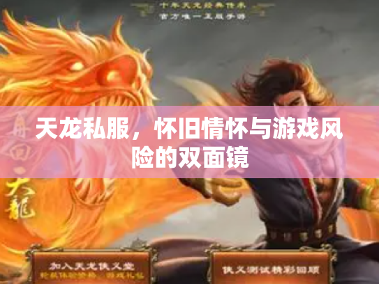 天龙私服，怀旧情怀与游戏风险的双面镜