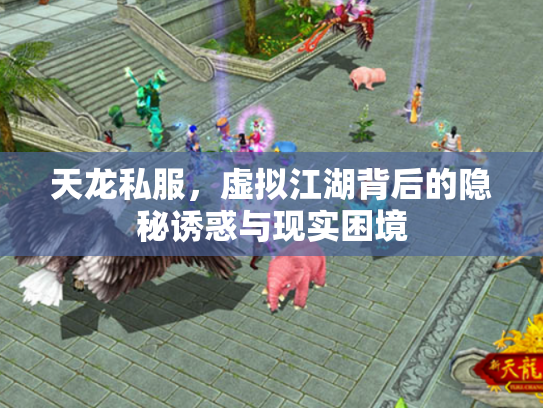 天龙私服，虚拟江湖背后的隐秘诱惑与现实困境