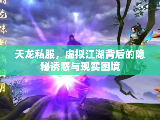 天龙私服，虚拟江湖背后的隐秘诱惑与现实困境