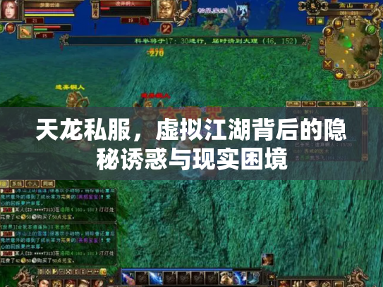 天龙私服，虚拟江湖背后的隐秘诱惑与现实困境