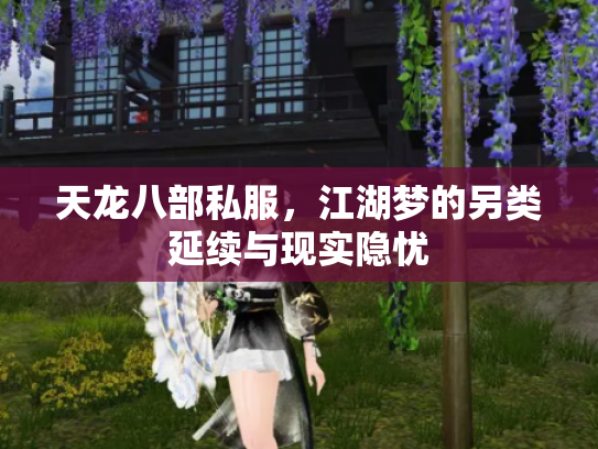 天龙八部私服，江湖梦的另类延续与现实隐忧