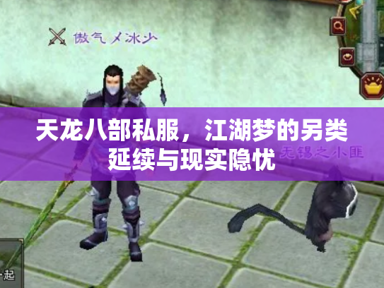 天龙八部私服，江湖梦的另类延续与现实隐忧