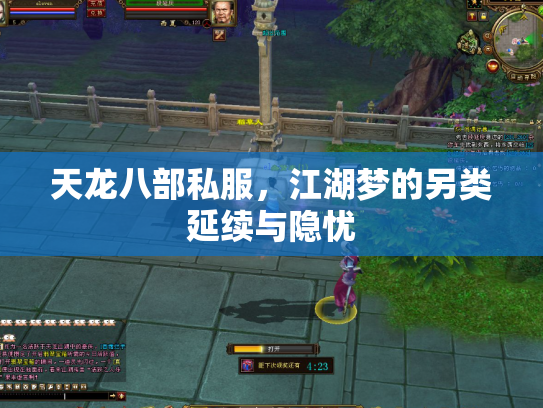 天龙八部私服，江湖梦的另类延续与隐忧