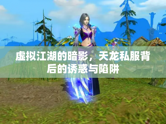 虚拟江湖的暗影，天龙私服背后的诱惑与陷阱