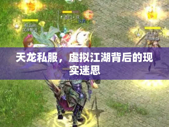 天龙私服，虚拟江湖背后的现实迷思