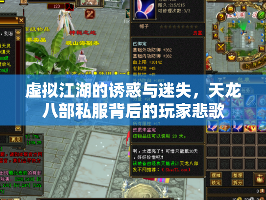 虚拟江湖的诱惑与迷失，天龙八部私服背后的玩家悲歌