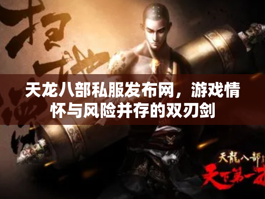 天龙八部私服发布网，游戏情怀与风险并存的双刃剑