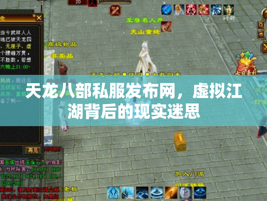 天龙八部私服发布网，虚拟江湖背后的现实迷思