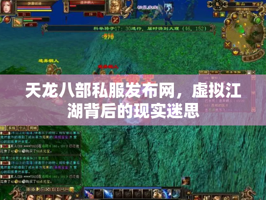 天龙八部私服发布网，虚拟江湖背后的现实迷思