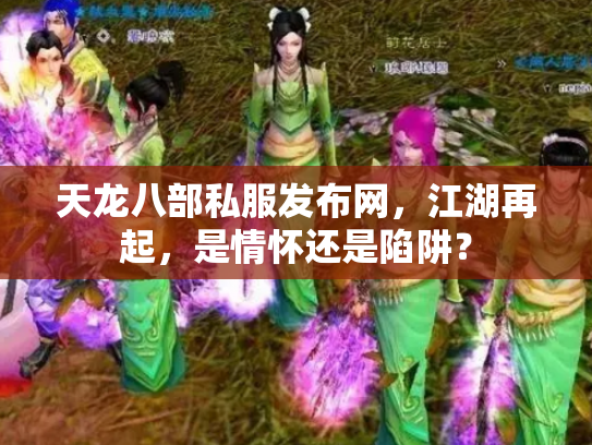 天龙八部私服发布网，江湖再起，是情怀还是陷阱？