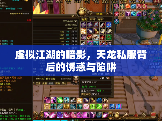 虚拟江湖的暗影，天龙私服背后的诱惑与陷阱