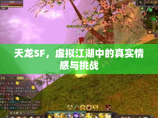 天龙SF，虚拟江湖中的真实情感与挑战