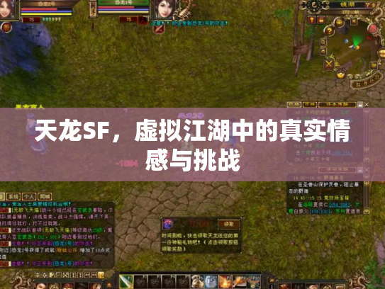 天龙SF，虚拟江湖中的真实情感与挑战