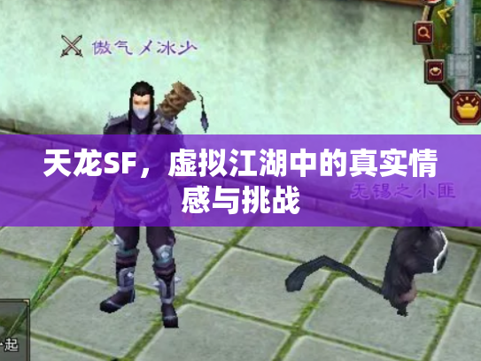 天龙SF，虚拟江湖中的真实情感与挑战