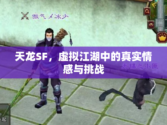 天龙SF，虚拟江湖中的真实情感与挑战