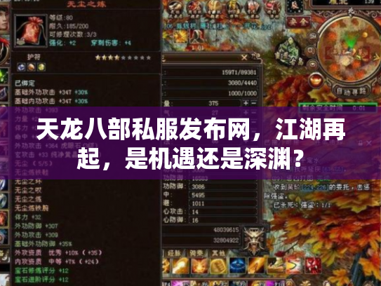 天龙八部私服发布网，江湖再起，是机遇还是深渊？