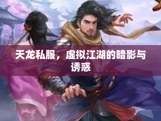 天龙私服，虚拟江湖的暗影与诱惑