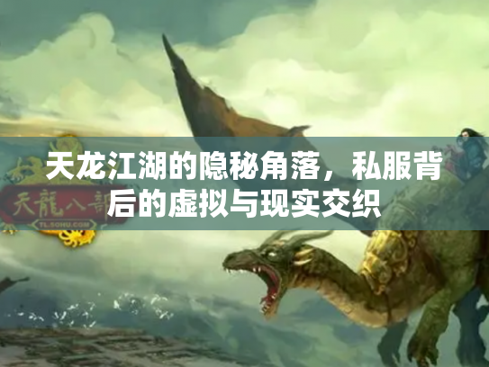 天龙江湖的隐秘角落，私服背后的虚拟与现实交织
