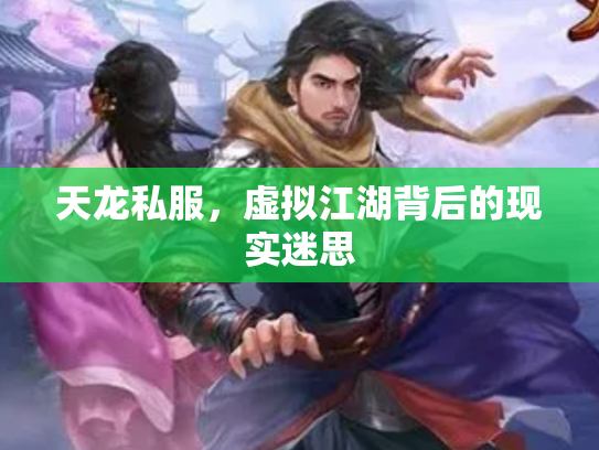 天龙私服，虚拟江湖背后的现实迷思