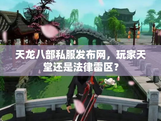 天龙八部私服发布网，玩家天堂还是法律雷区？